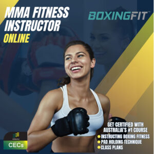 MMA Fitness Instructor Online $199
